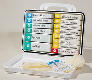 16 Unit First Aid Kit, ANSI, Poly Box