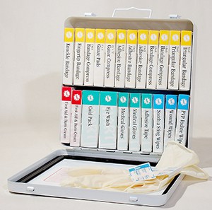 24 Unit First Aid Kit, ANSI, Metal Box